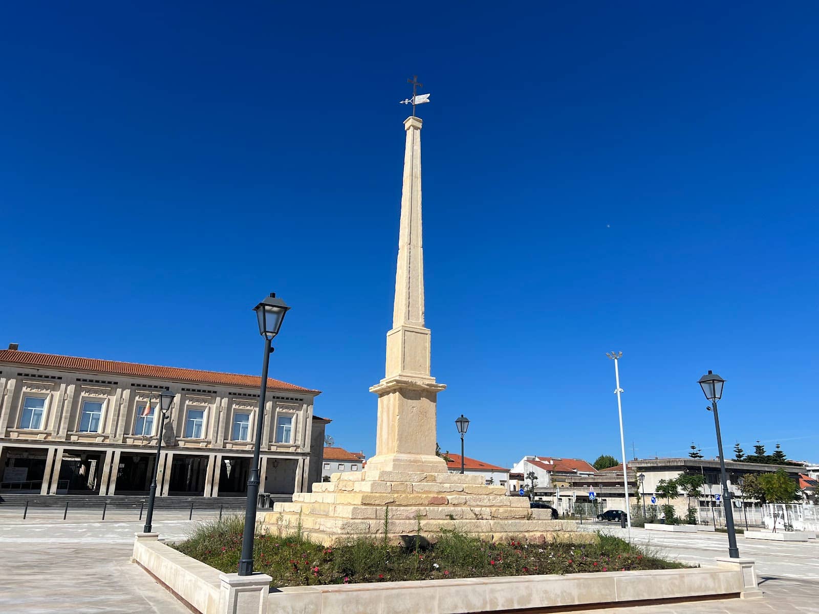 Sunset Bird Spectacle