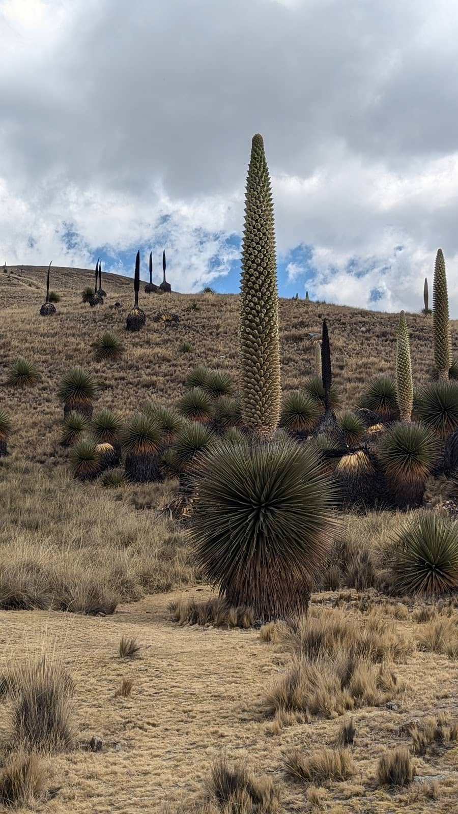Scenic Gravel Routes