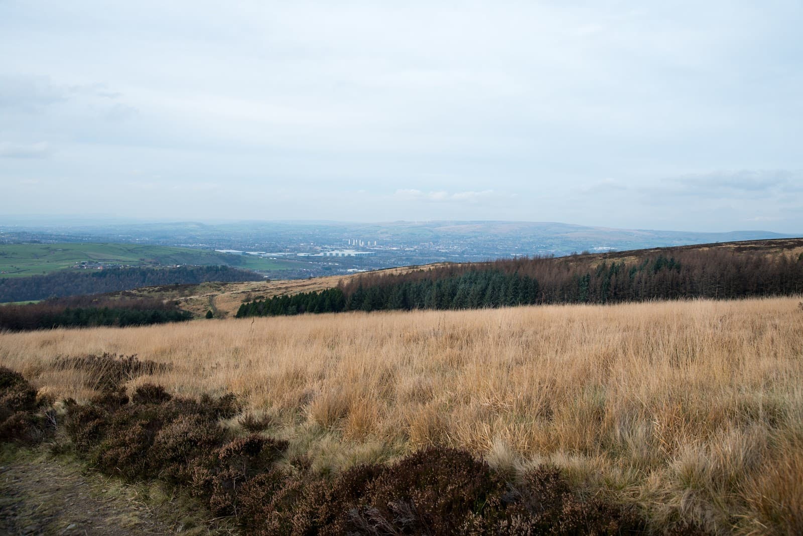 Crompton Moor - Image 1
