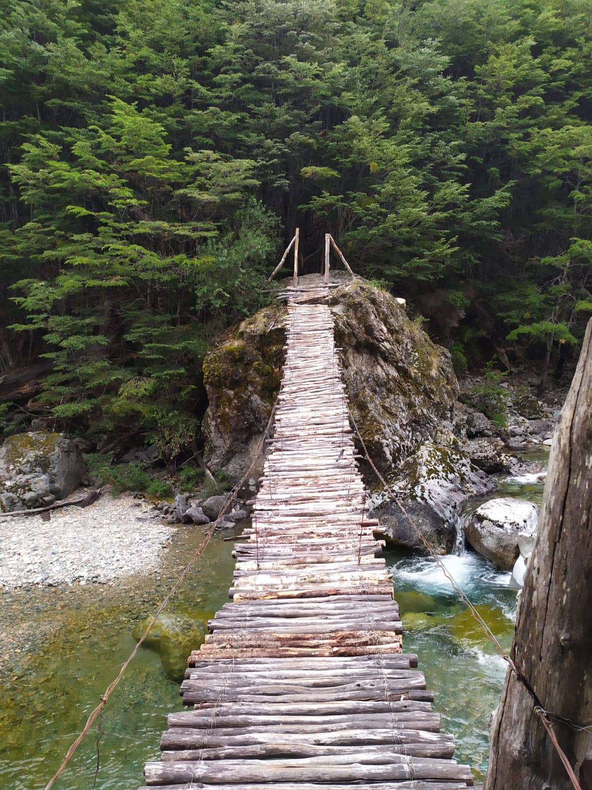 Vertical photo