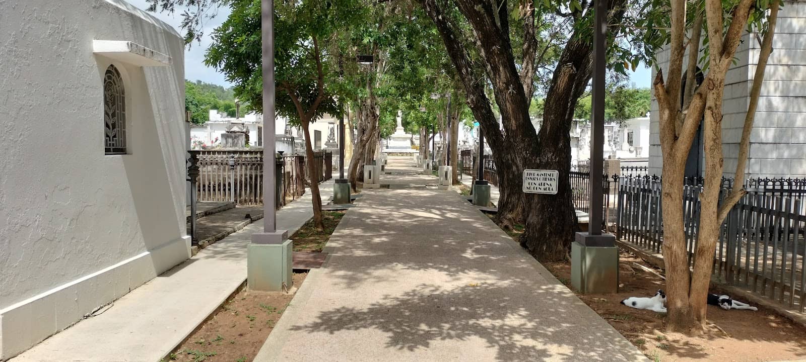 Serene and Clean Grounds
