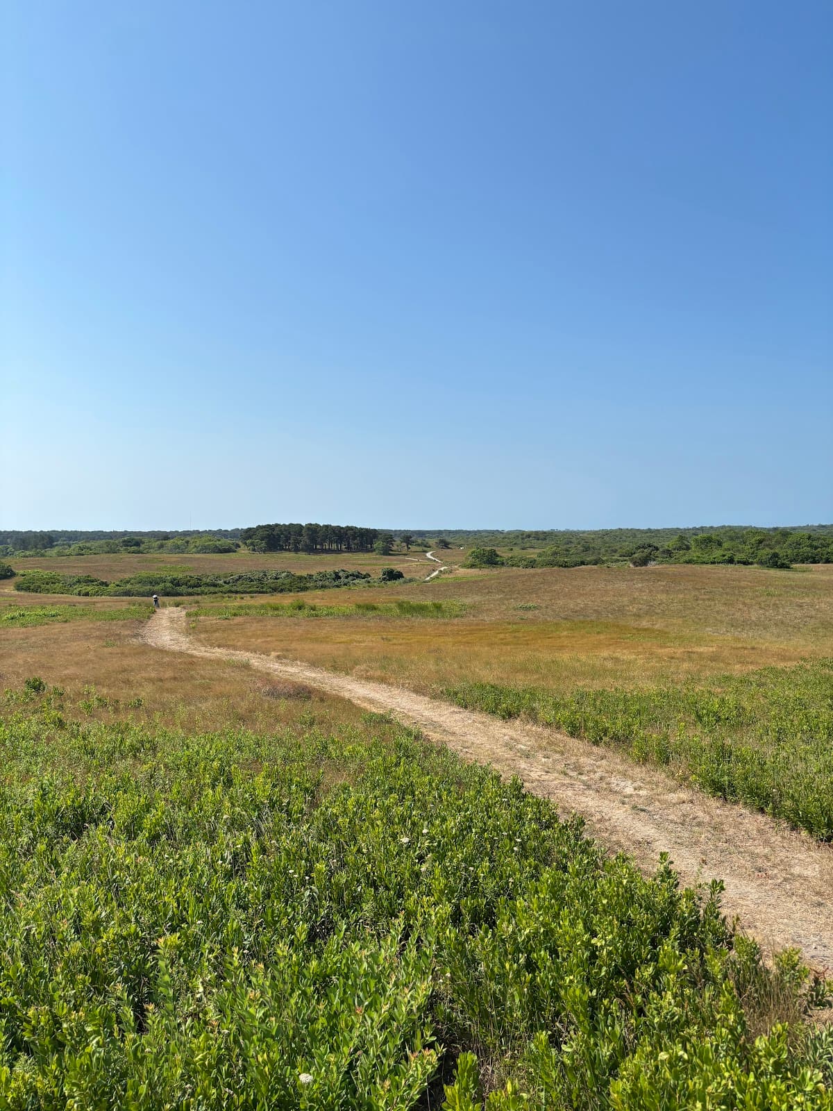 Sanford Farm & Ram Pasture - Image 1