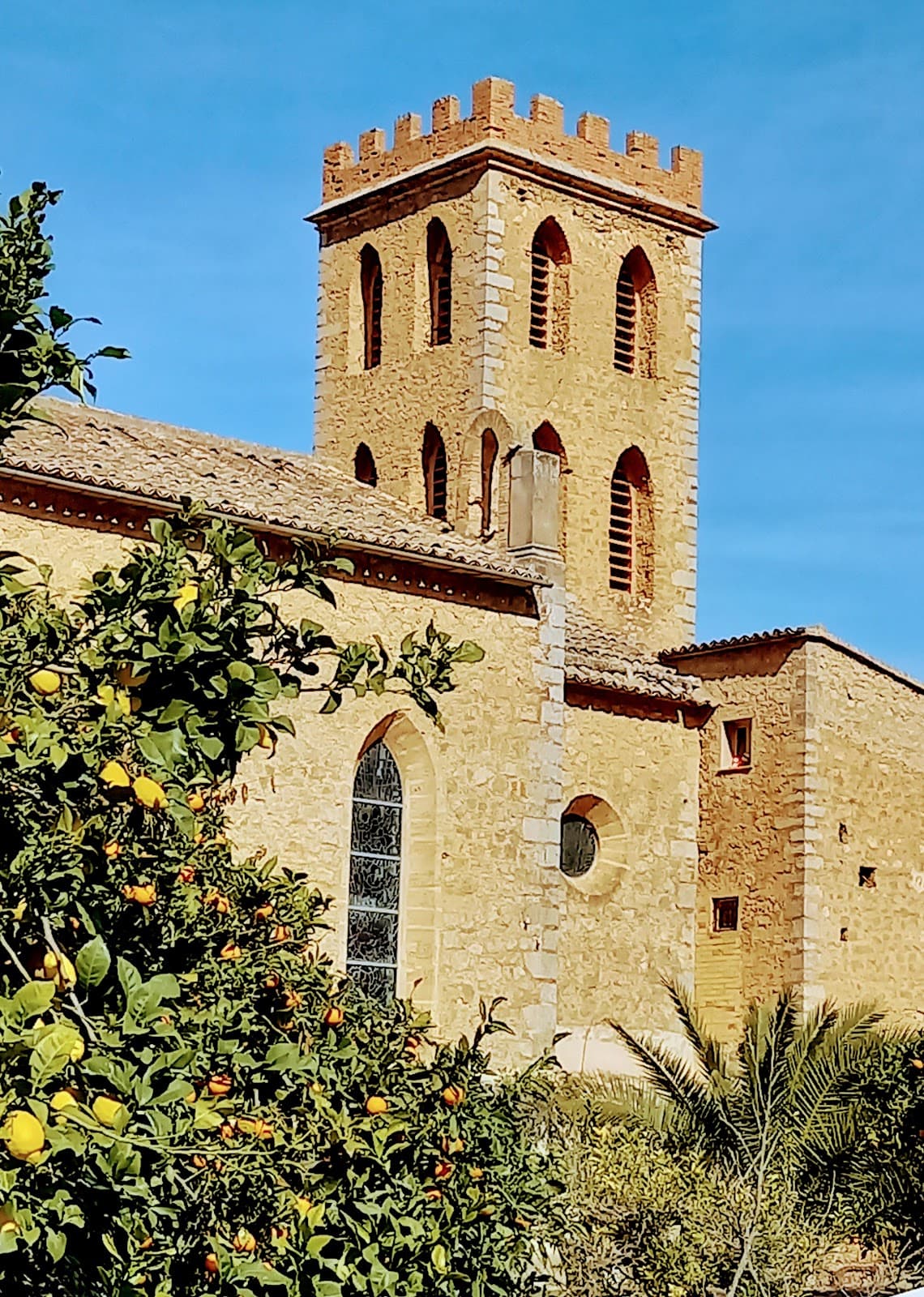 L'Horta de Sóller (citrus orchards) - Image 1