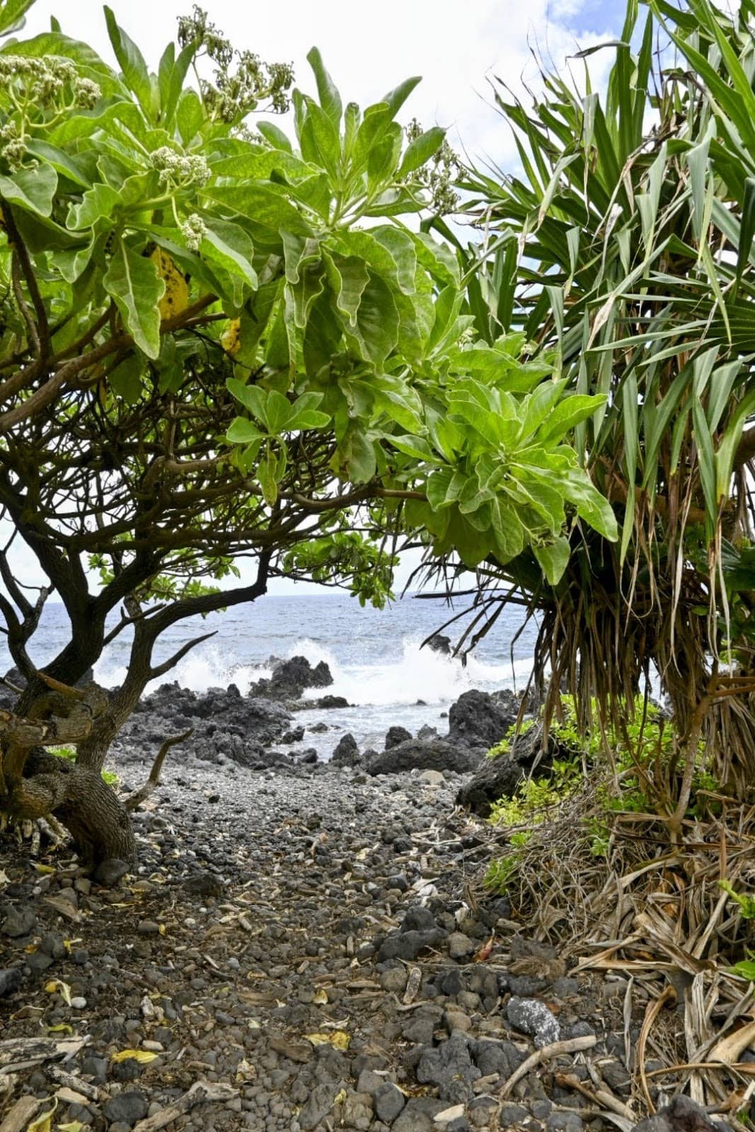 Vertical photo