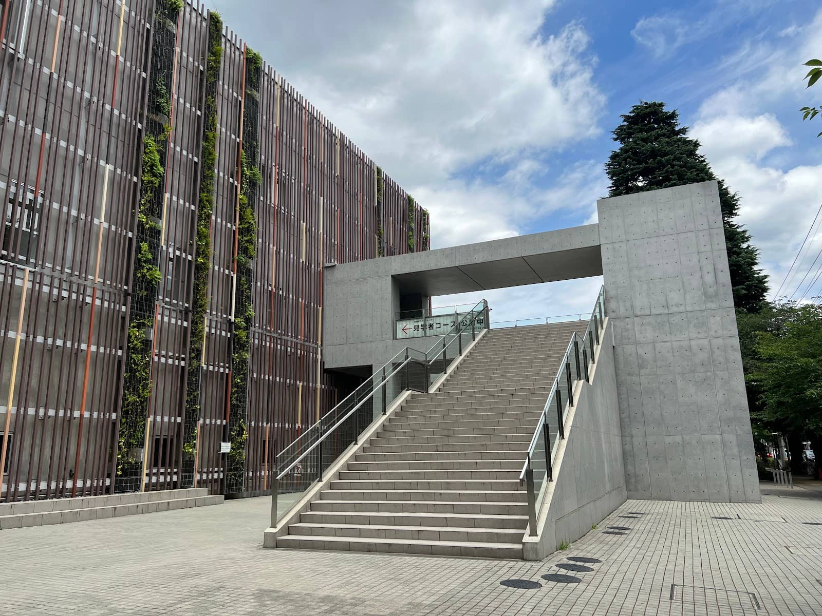 Educational Tour Experience