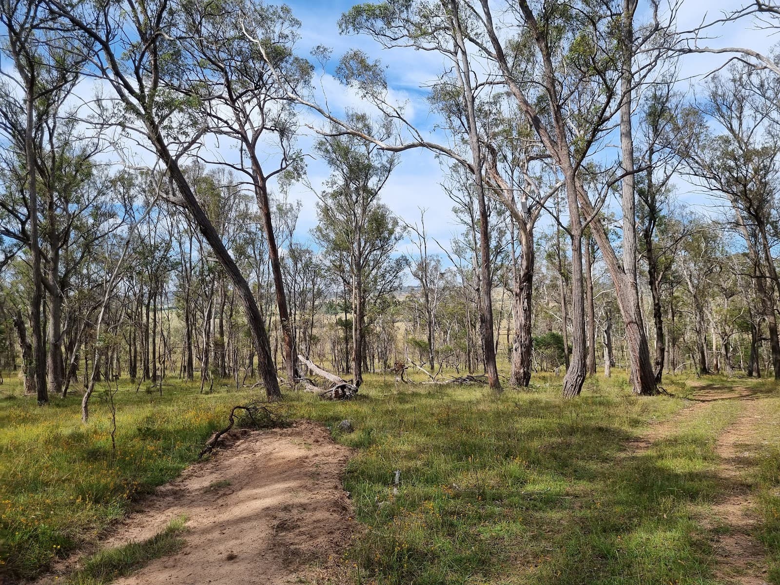Imbota Nature Reserve - Image 1