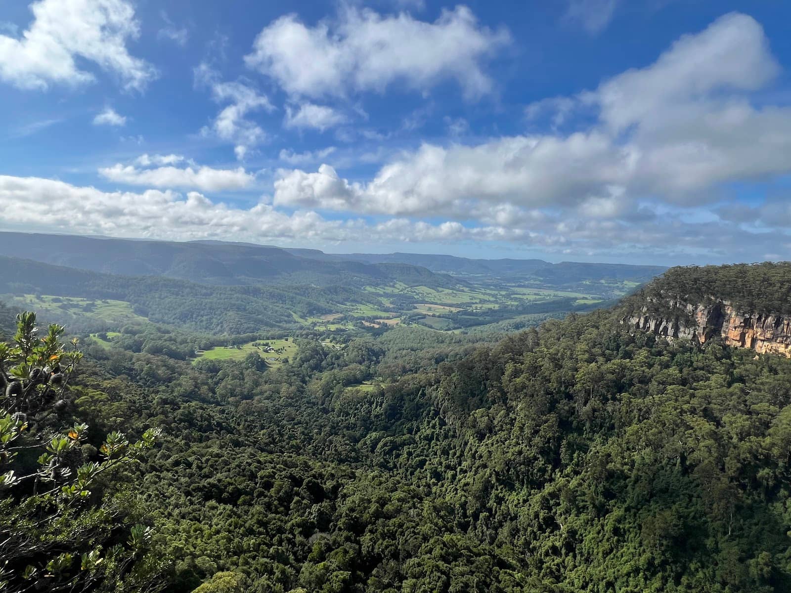 Tranquil Nature Escape