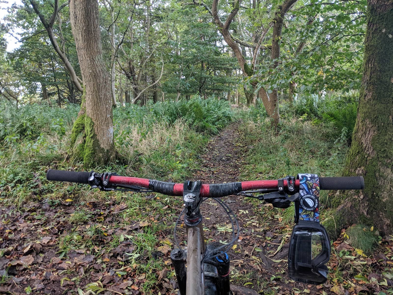 Third hero image