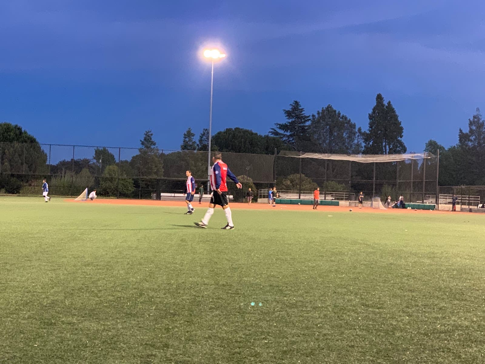 Dan Foley Park (Lake Chabot) - Image 1