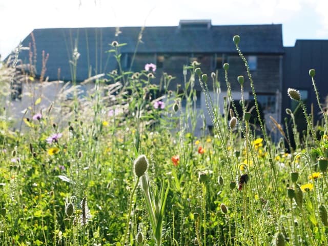Cricklepit Mill - Image 1