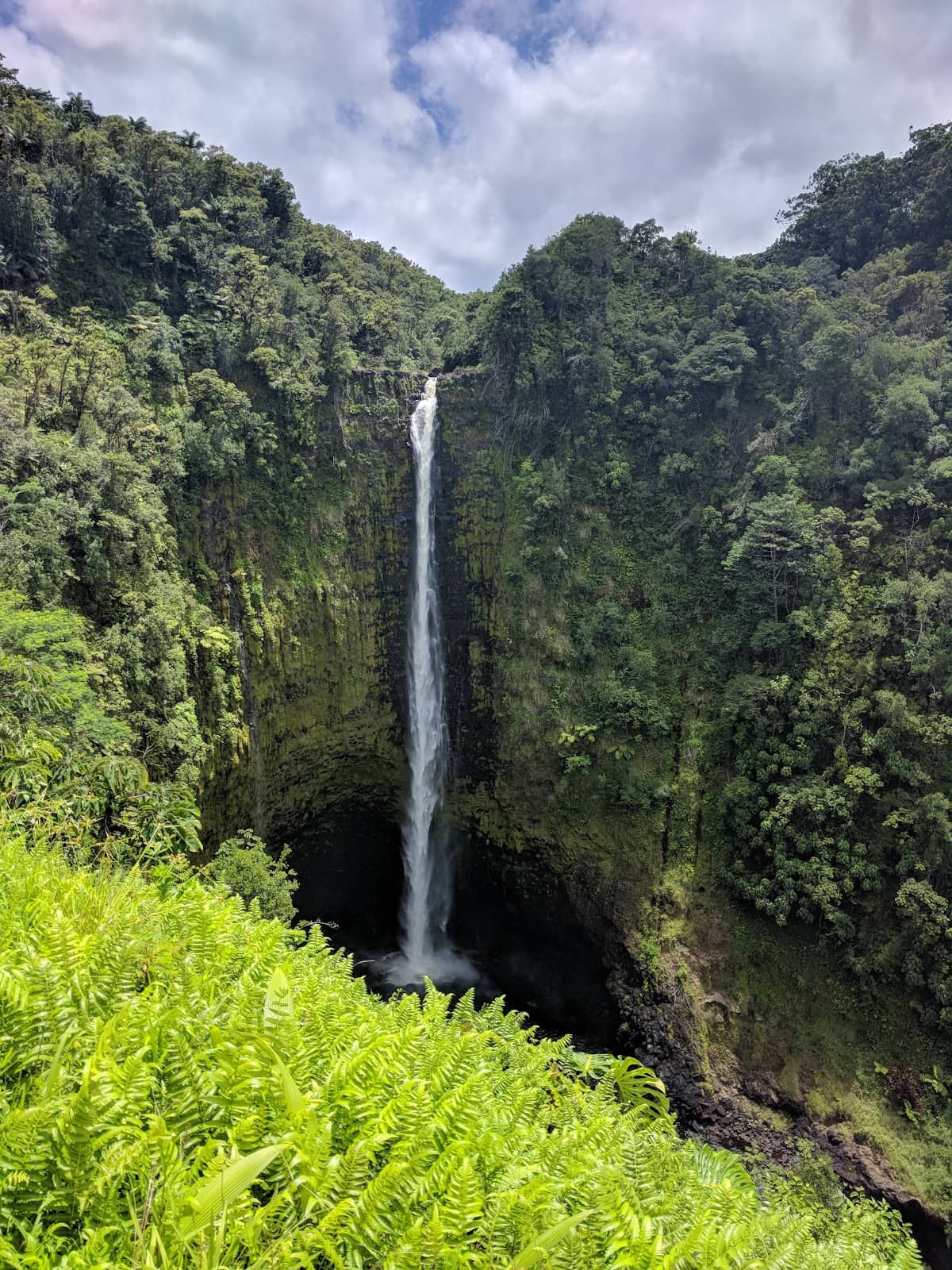 Vertical photo