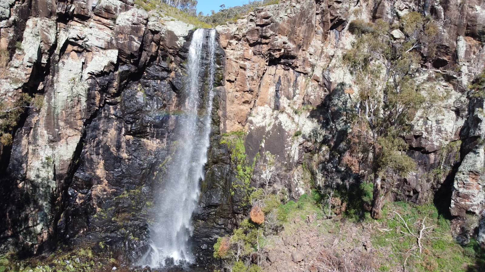 Snow Gum Forest Trail