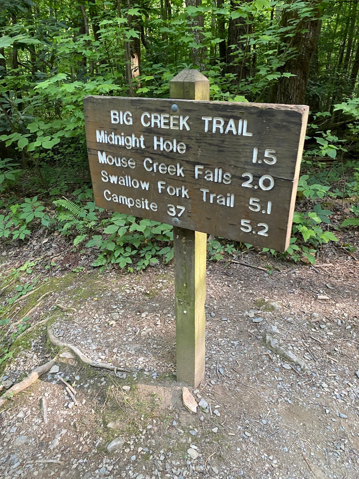 Baxter Creek Trail - Image 1