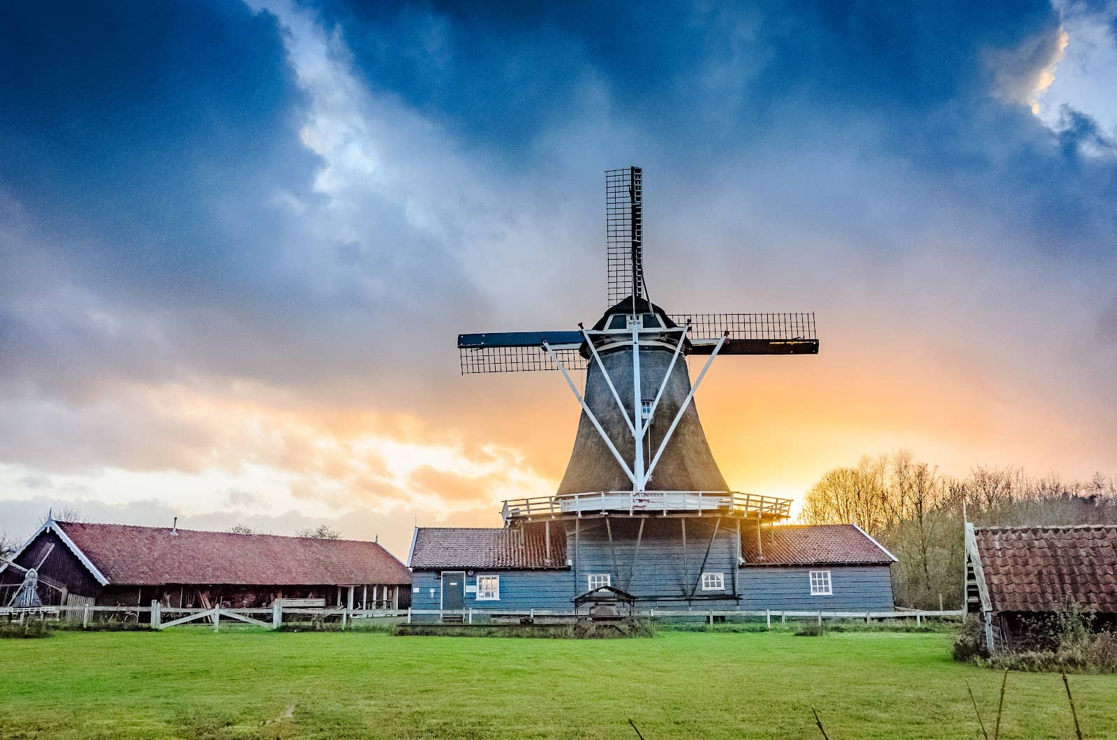 Insightful Guided Tours