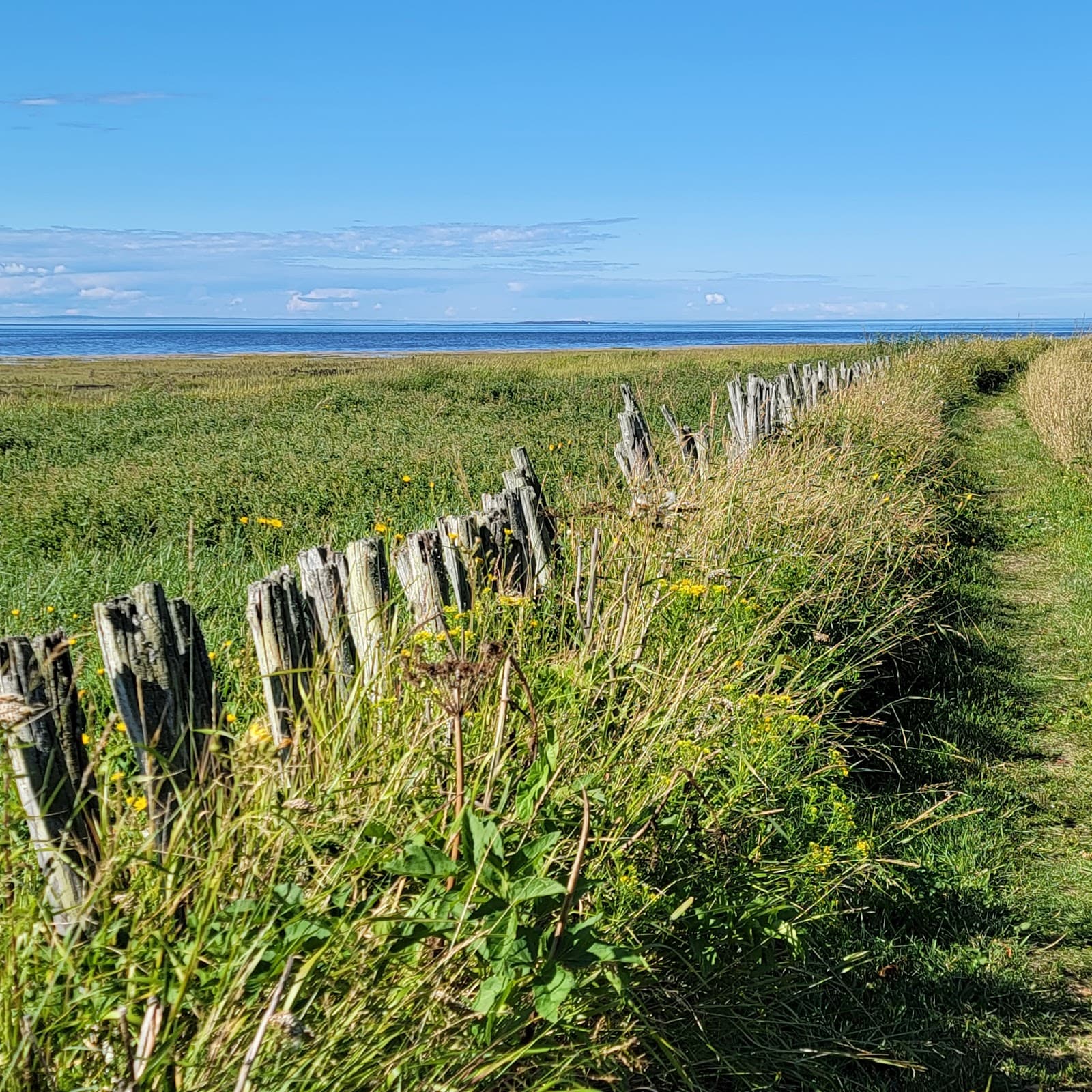 Baie-de-L’Isle-Verte National Wildlife Area - Image 1