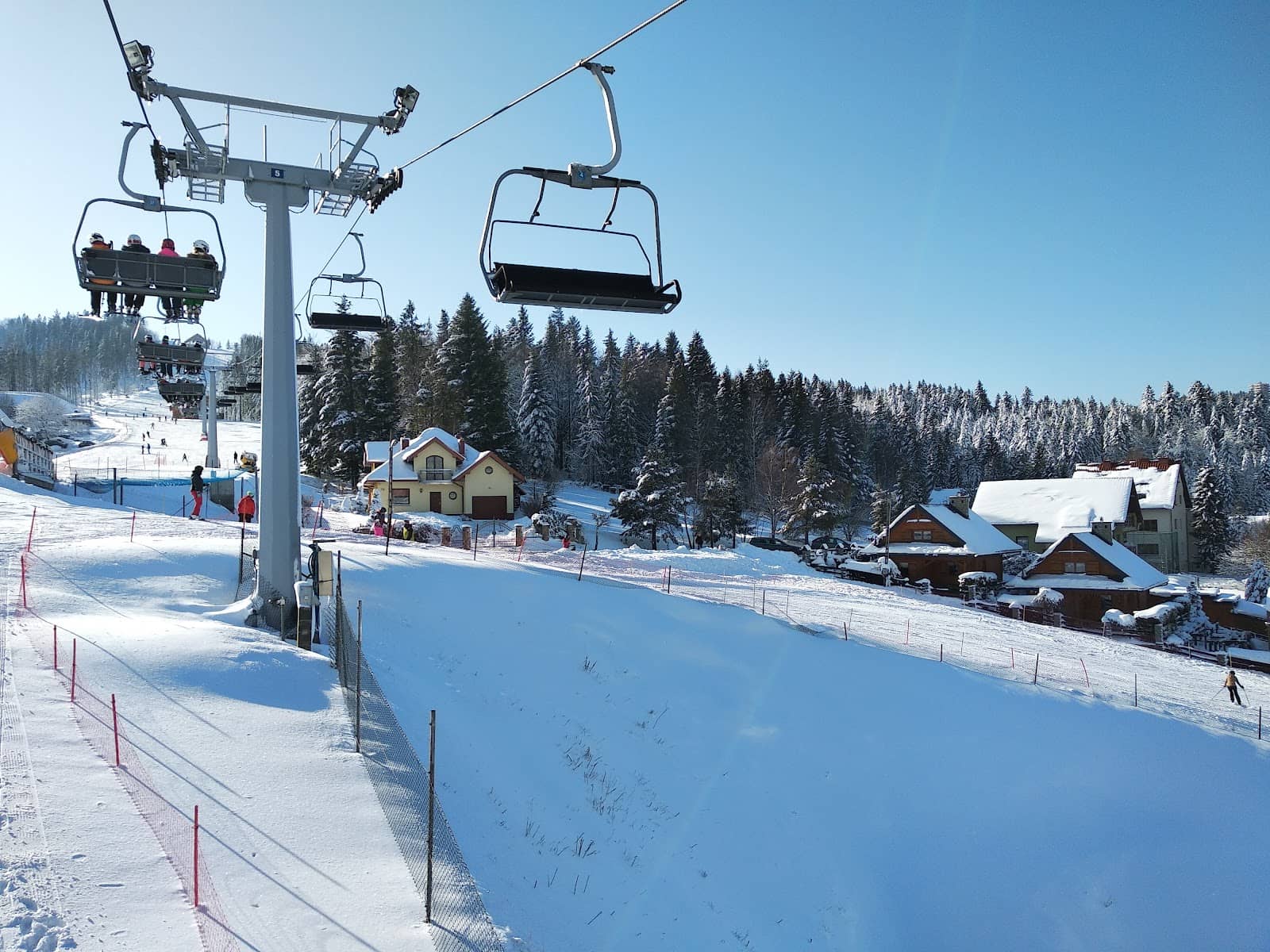 Beginner-Friendly Run