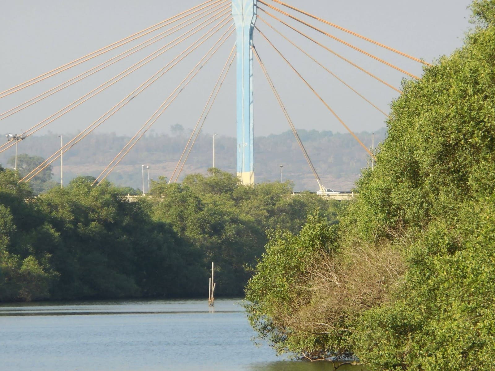 Aldona Goa - Image 1