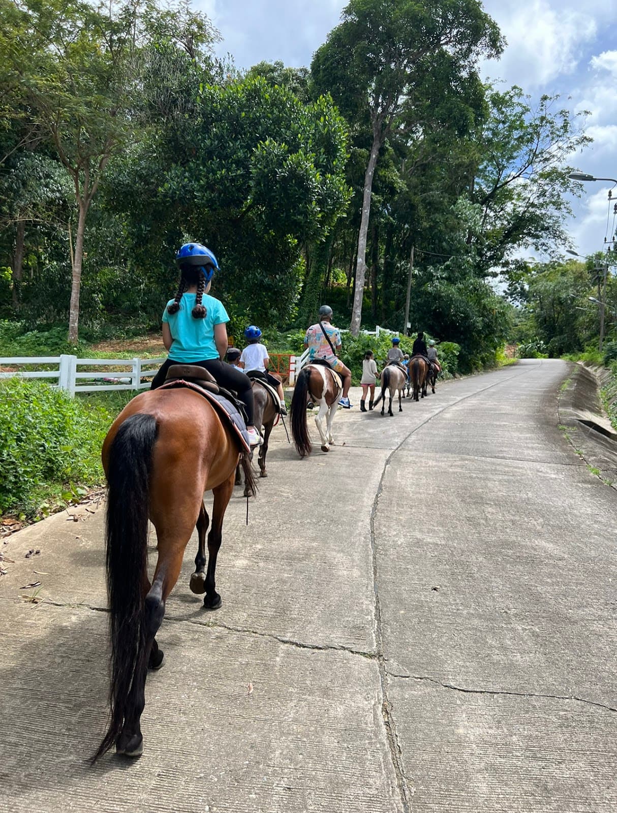 Phuket Horse Riding Club - Image 1