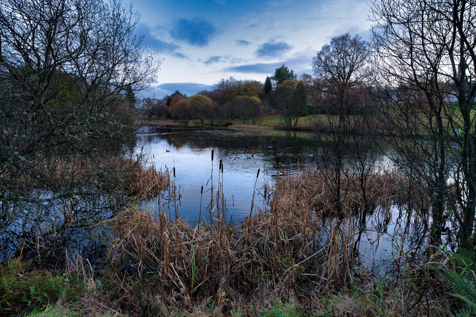 University of Stirling Campus and Airthrey Loch - Image 1