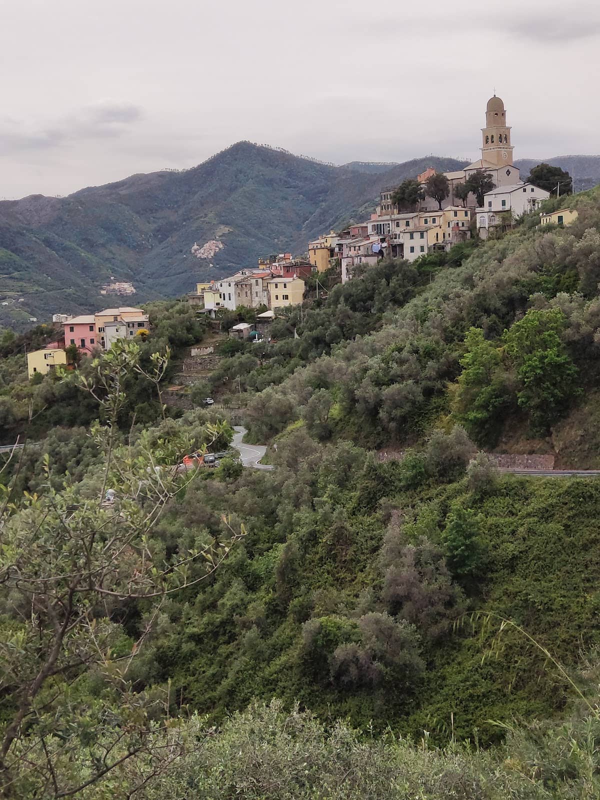 Trattoria Ristorante Savio Ivo
