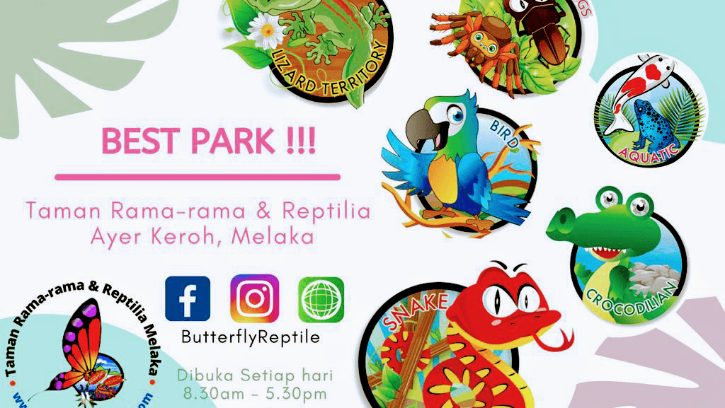 Butterfly and Reptile Sanctuary - Image 1