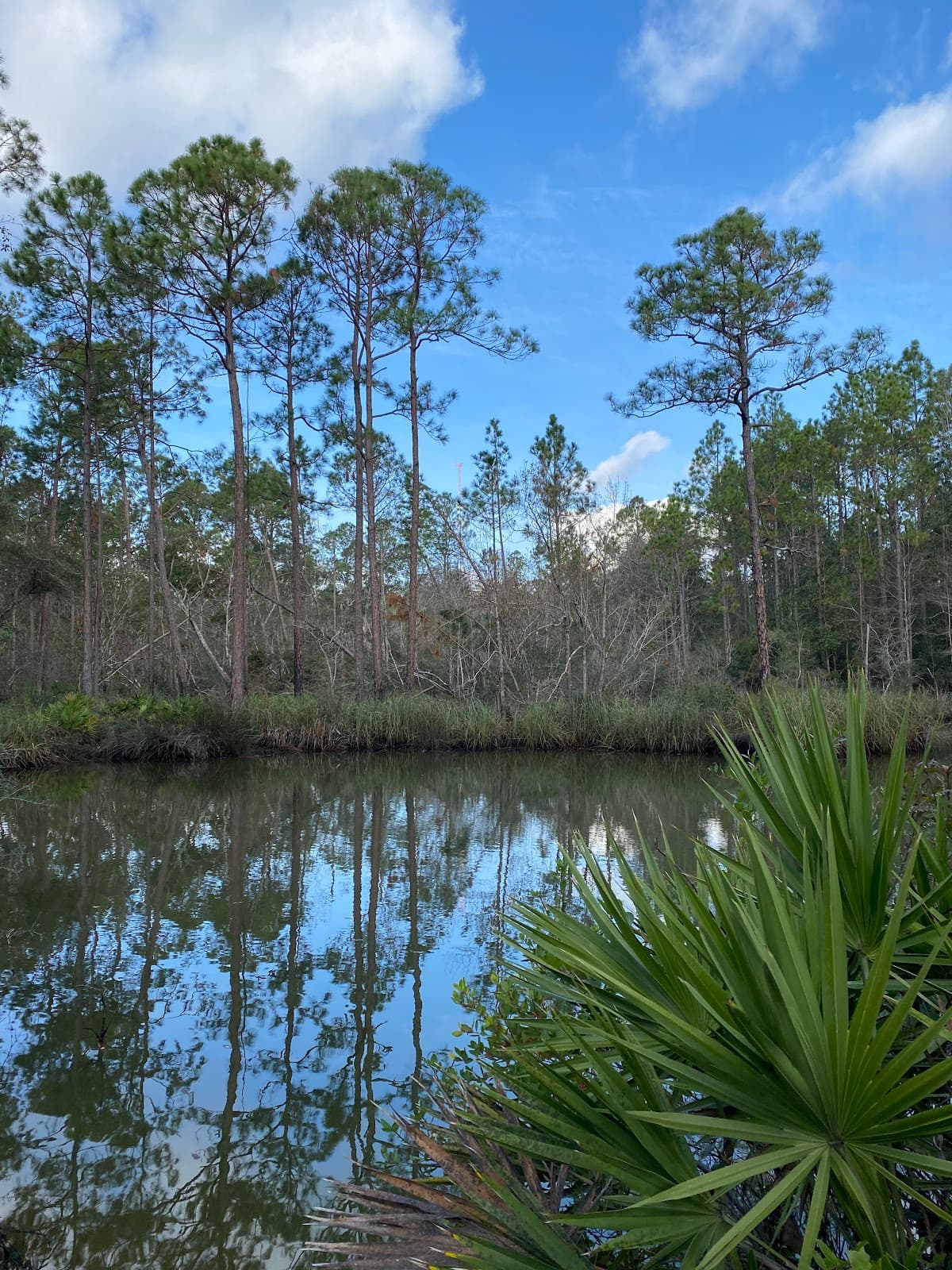 Foley Mural Trail - Image 1