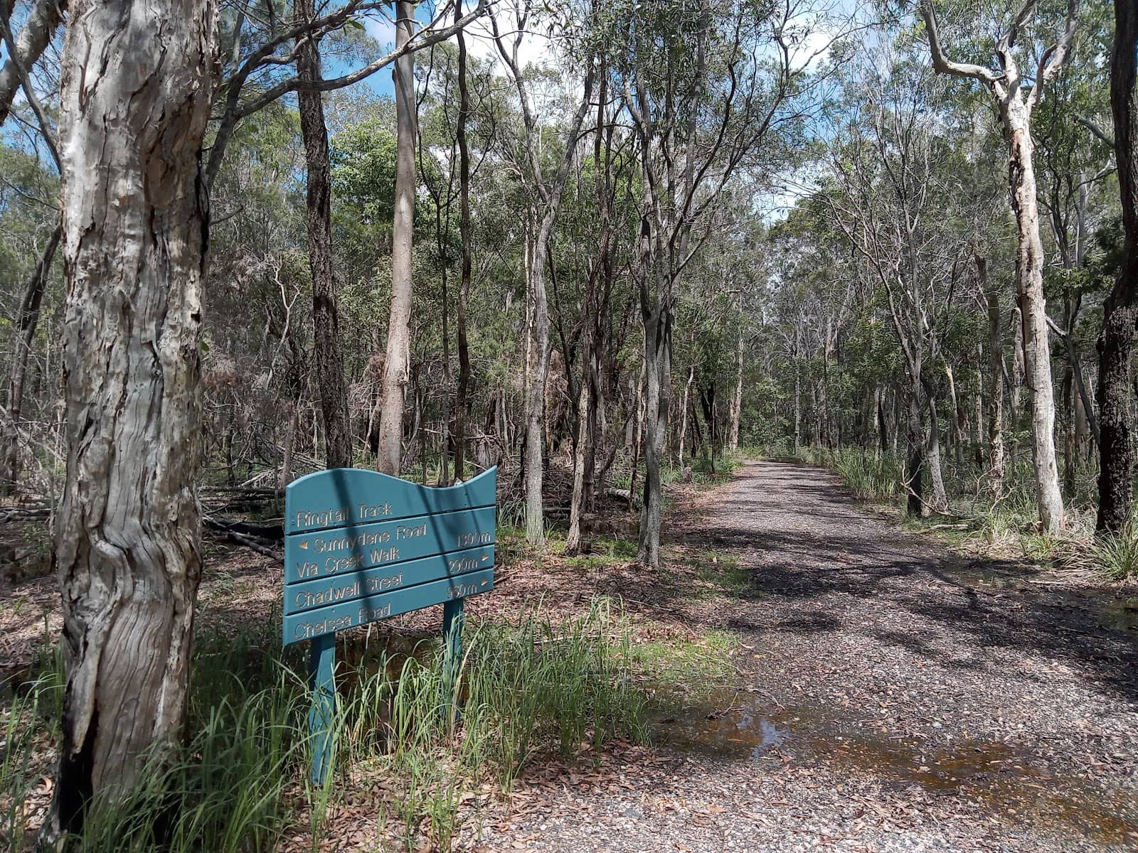Scenic Walking Trails