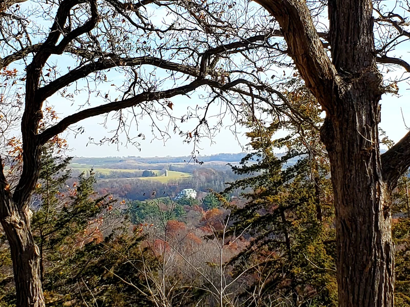 Vertical photo