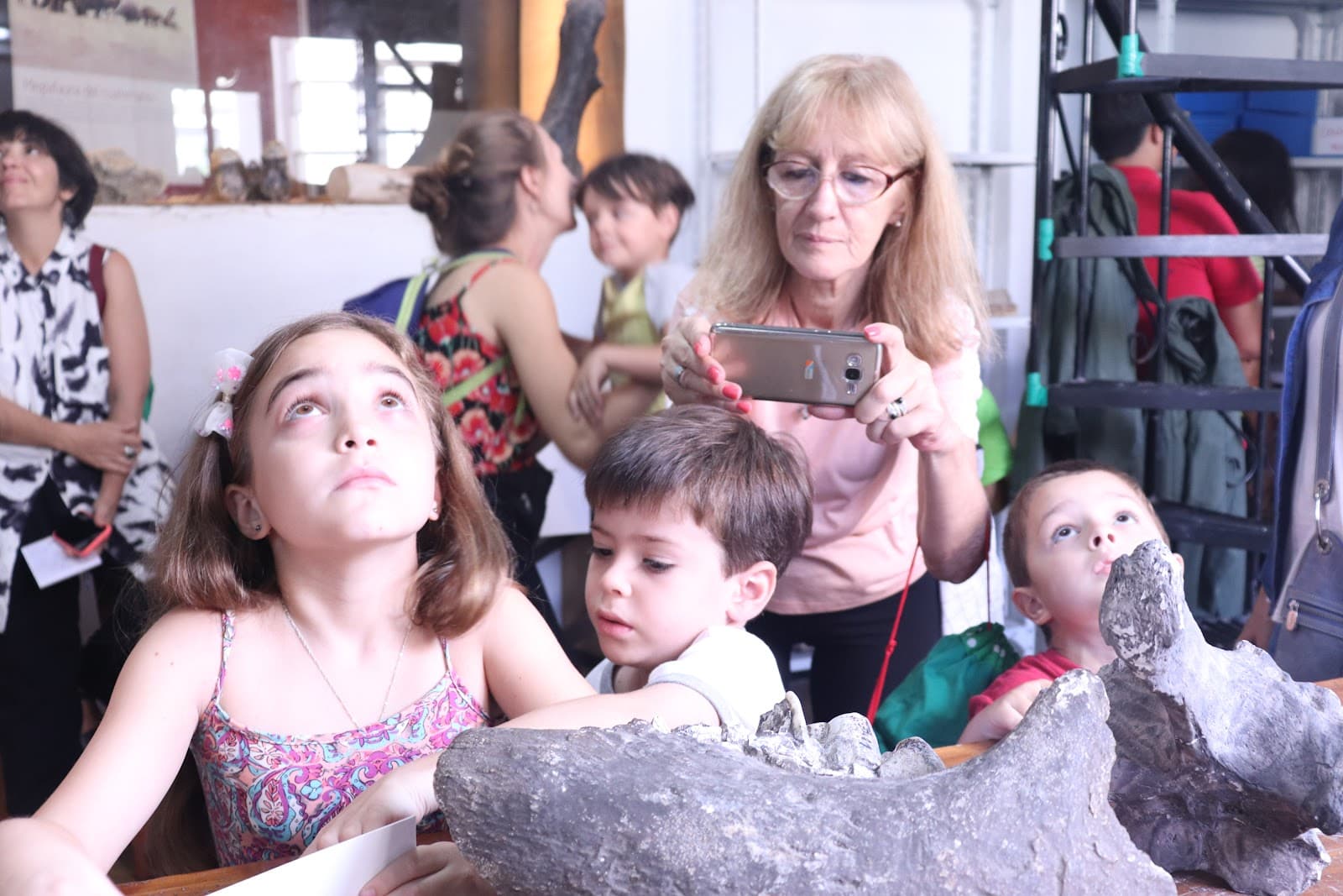 Museo Provincial de Ciencias Naturales Dr. Ángel Gallardo - Image 1