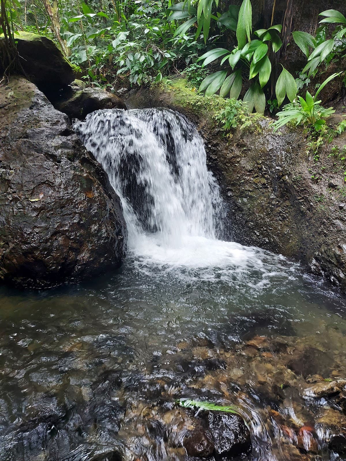 Tufton Hall Waterfall - Image 1