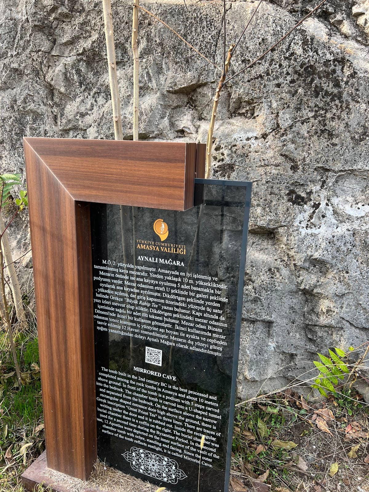 Vertical photo
