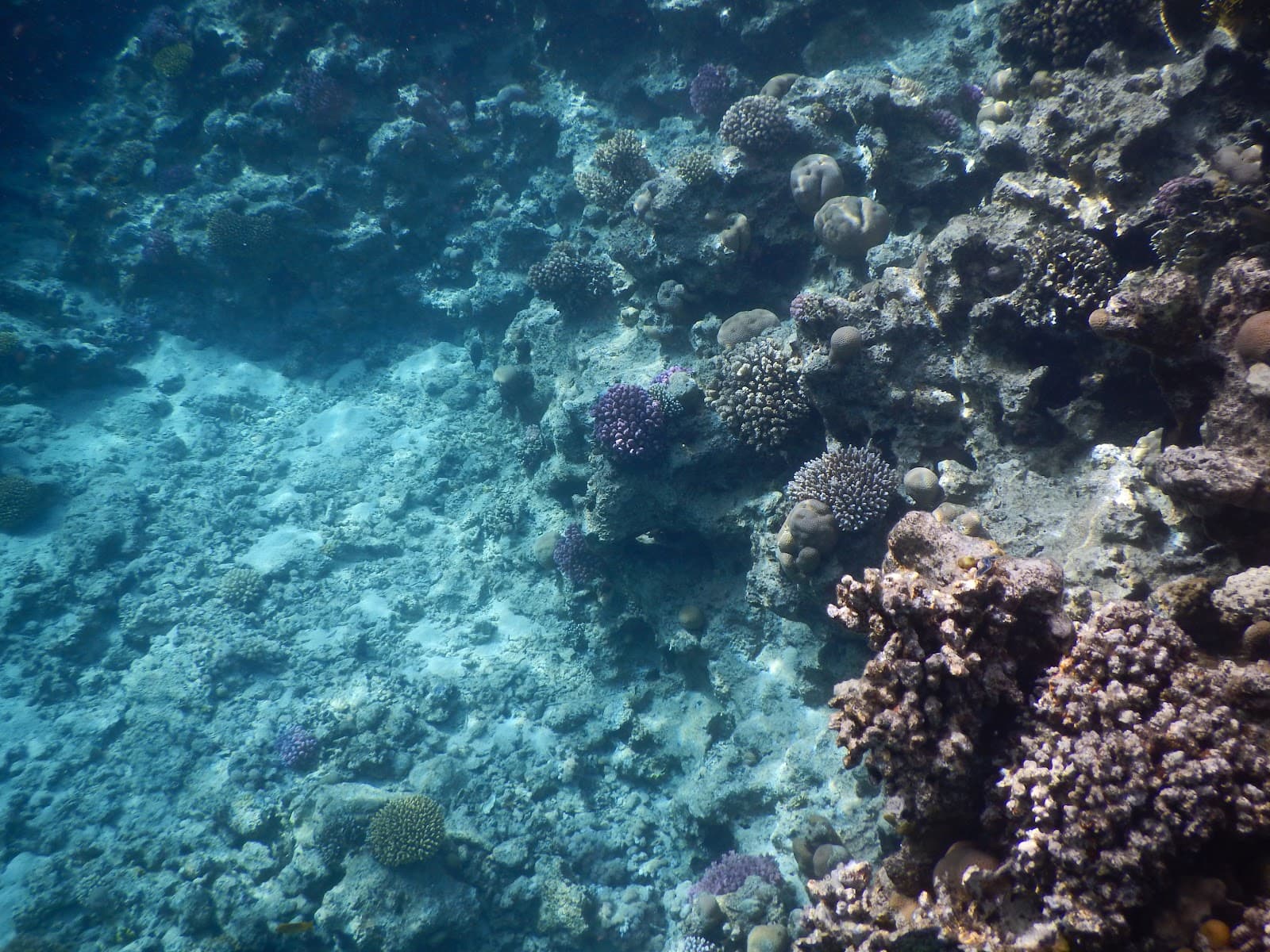 Jackfish Alley - Image 1