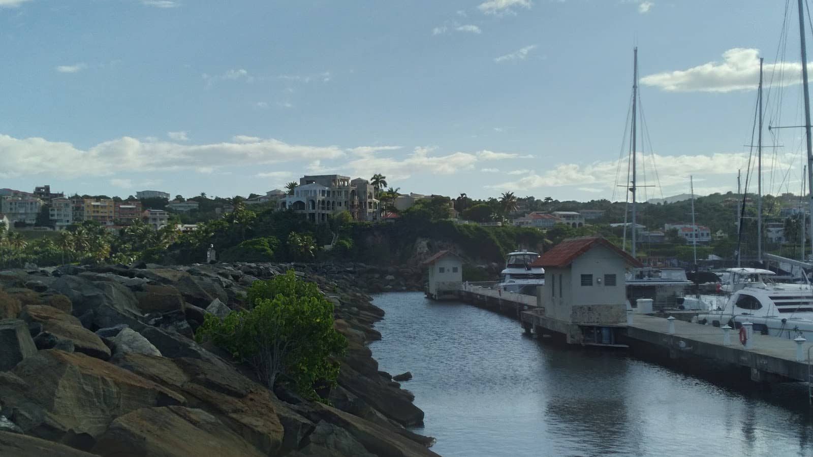 Harbour Point Condos