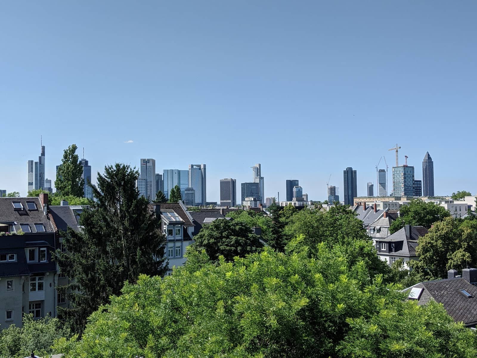 Specialty Coffee Scene