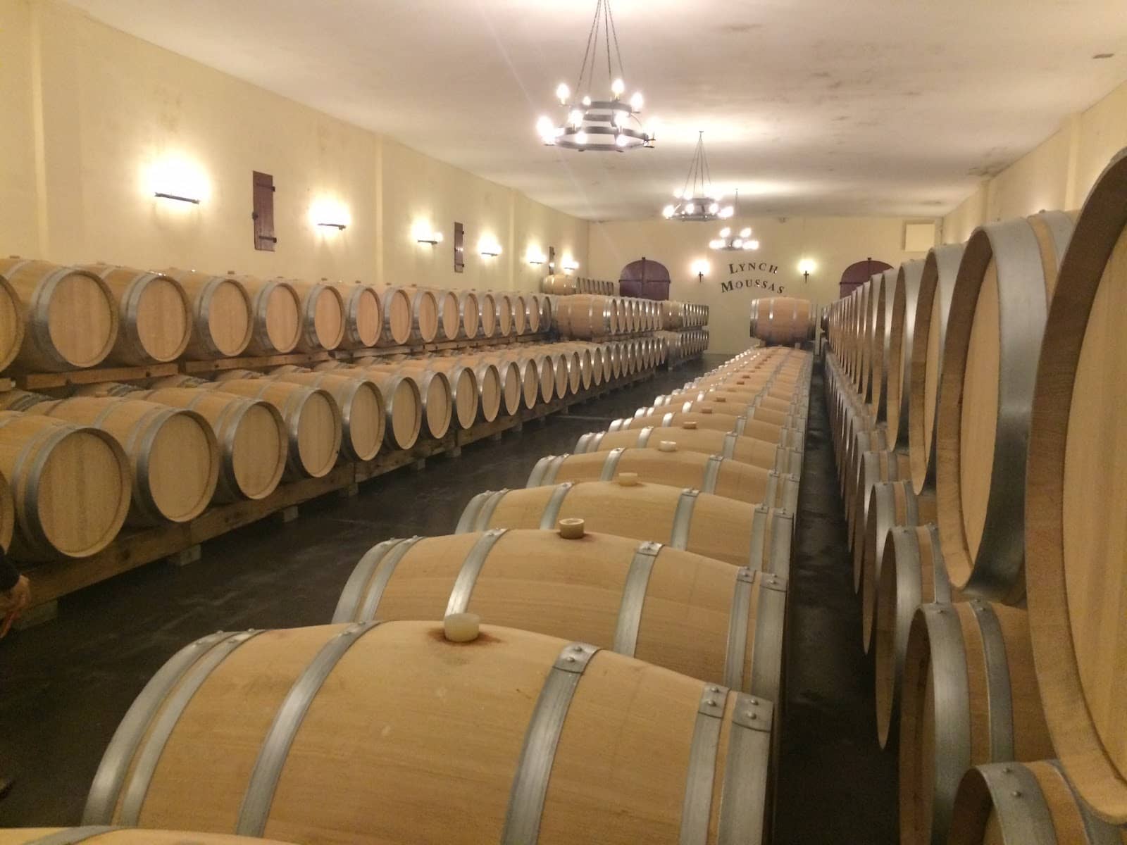 Vineyard Views