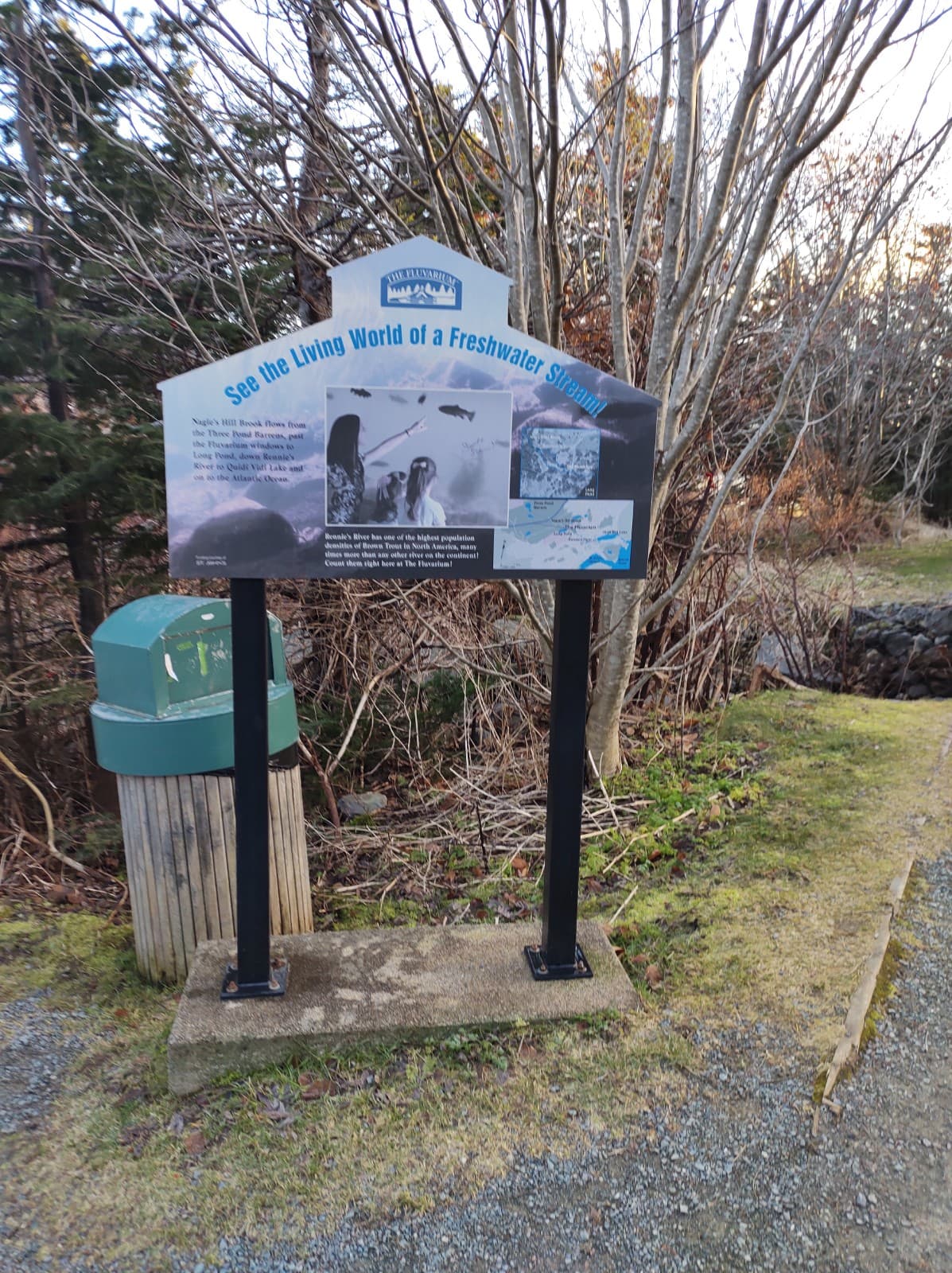 Long Pond Pippy Park - Image 1