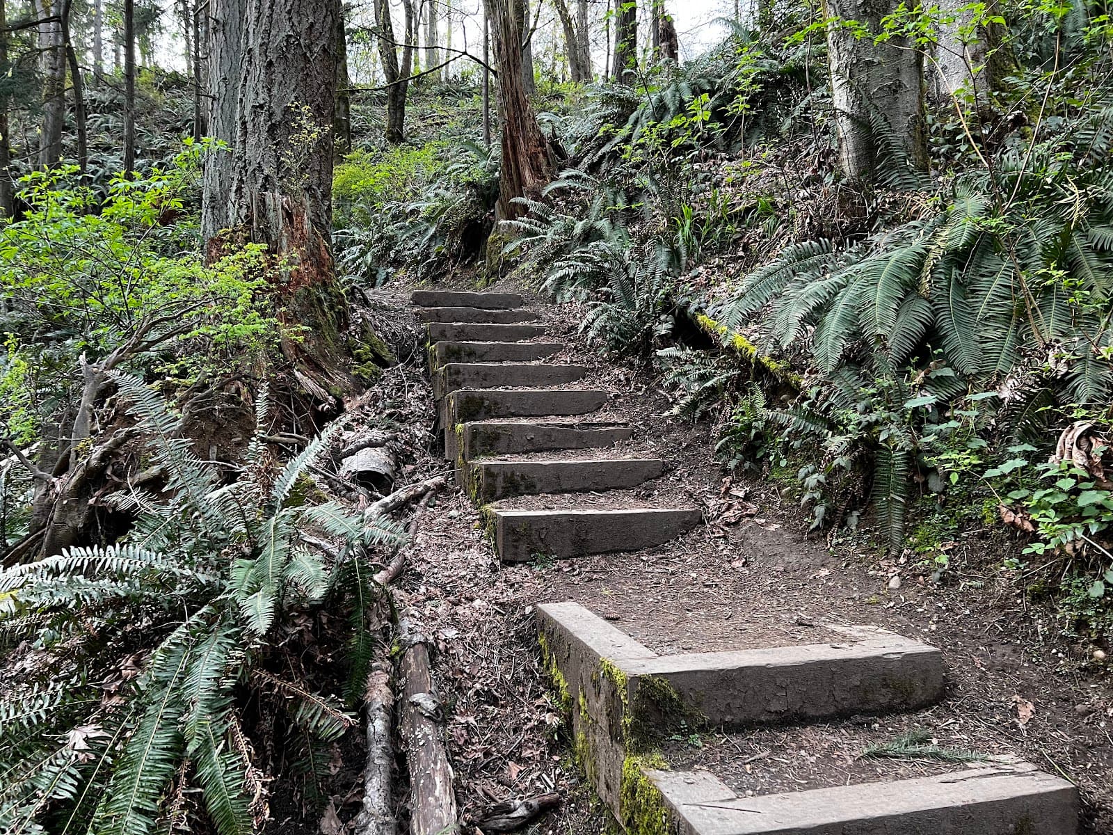 Big Gulch Trail System - Image 1