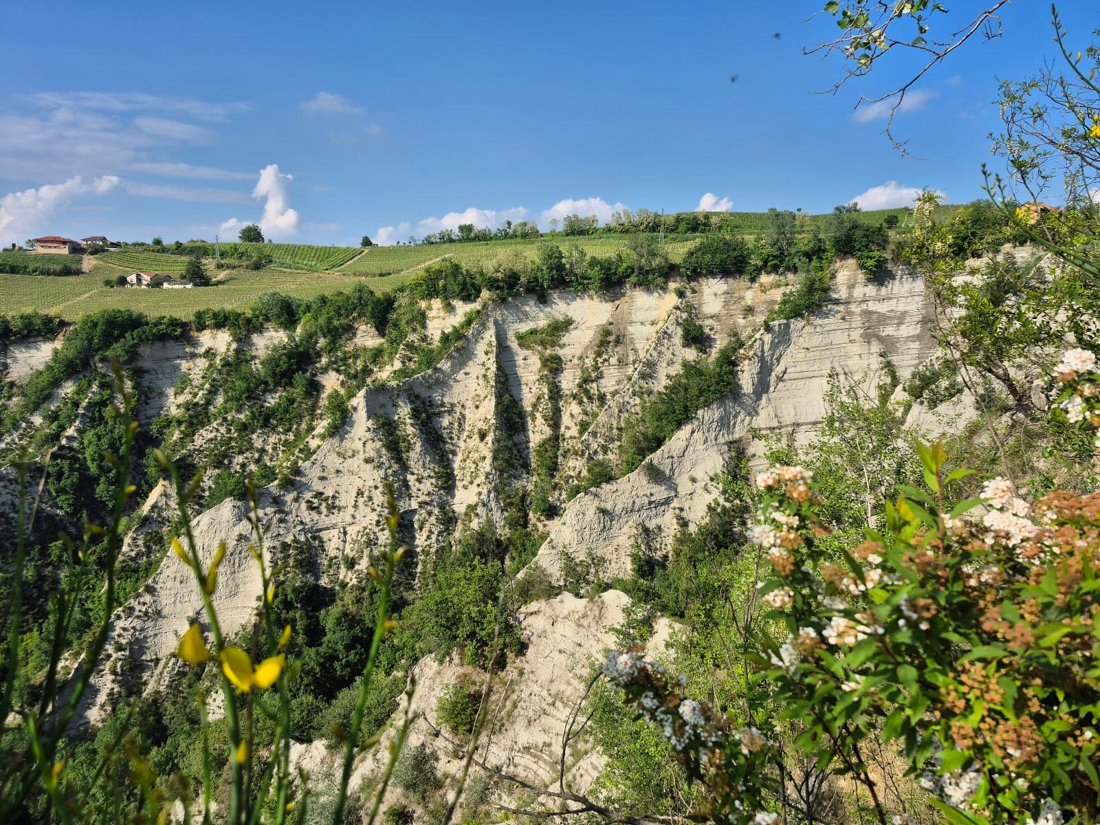 Treiso & Rocche dei Sette Fratelli - Image 1