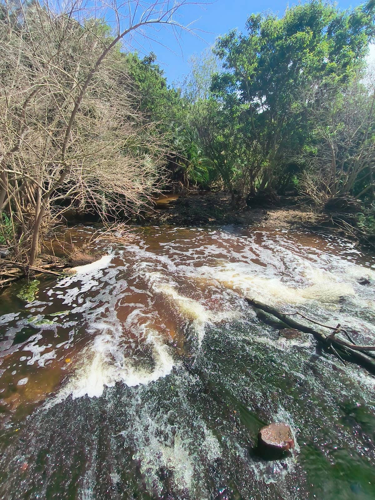 Vertical photo