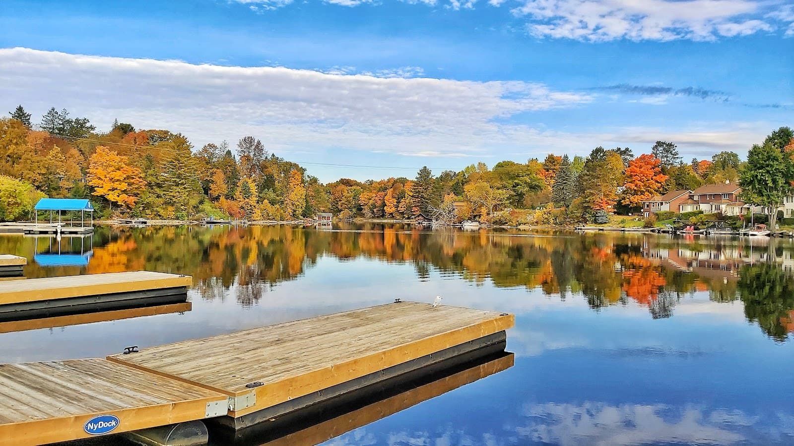 River Mill Park Skating Trail Huntsville - Image 1