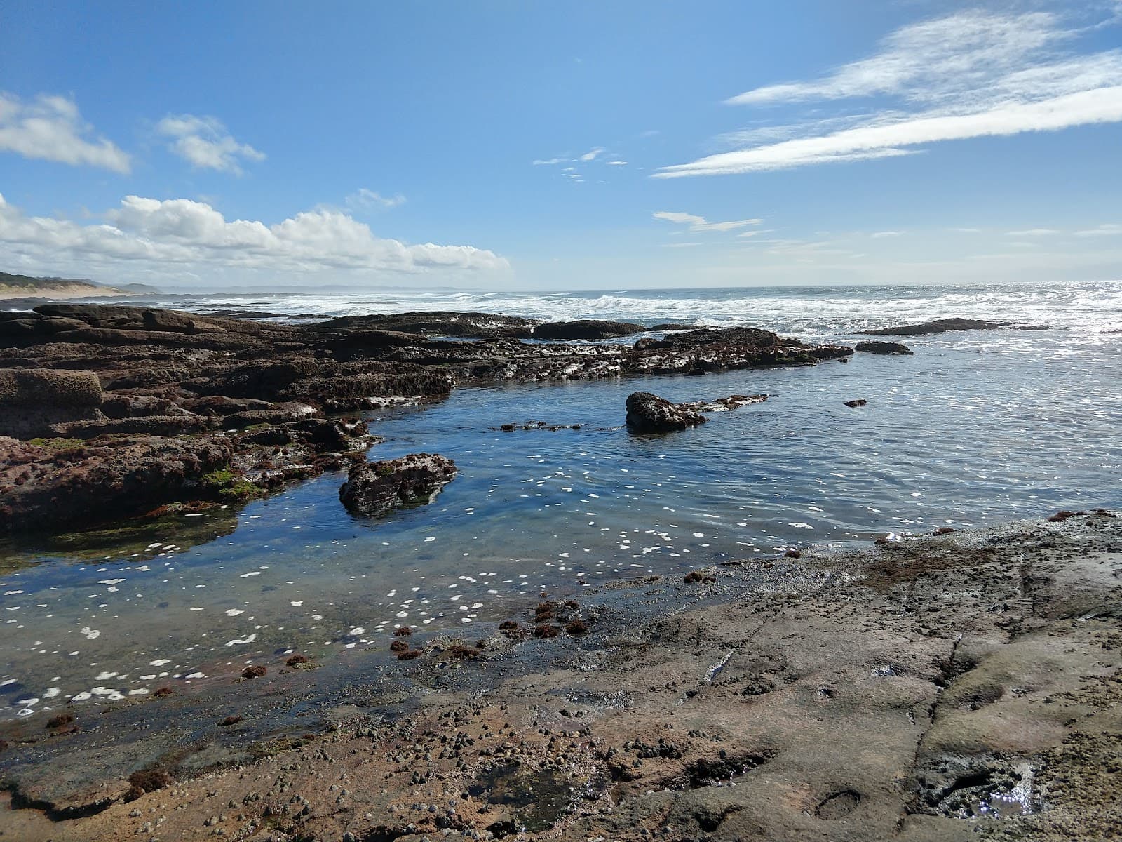 Glen Eden Beach - Image 1