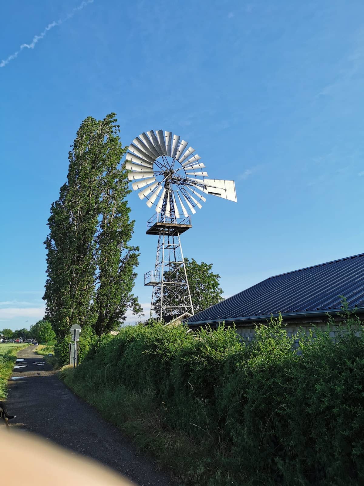 Vertical photo