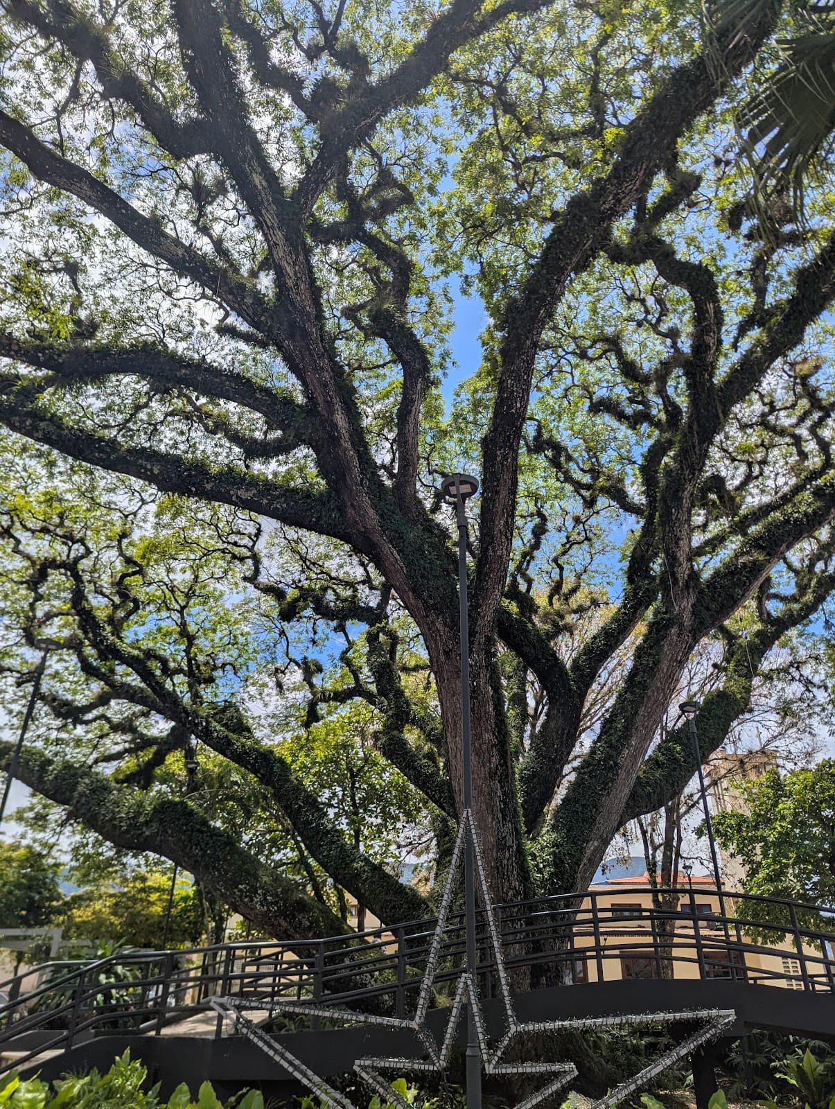 Jarabacoa Central Park (Parque Duarte) - Image 1