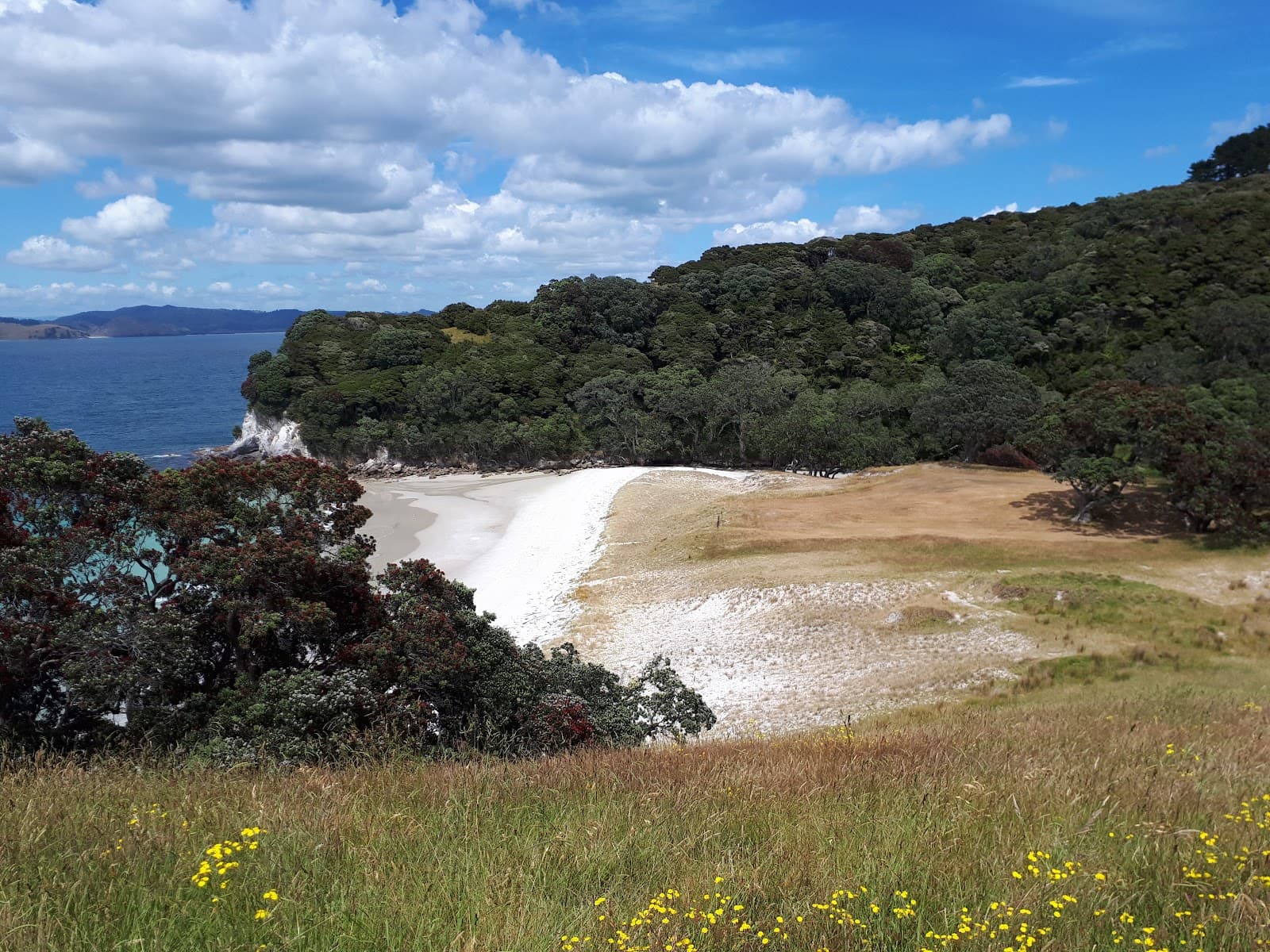 Great Mercury Island (Ahuahu) - Image 1