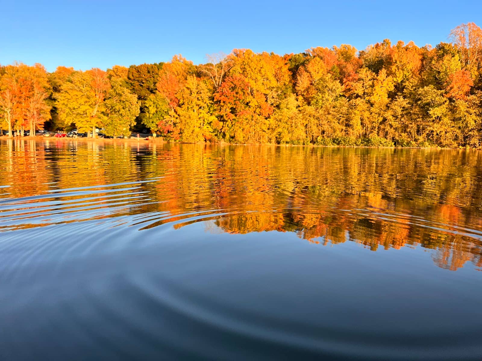 Palmetto Trail Boardwalks