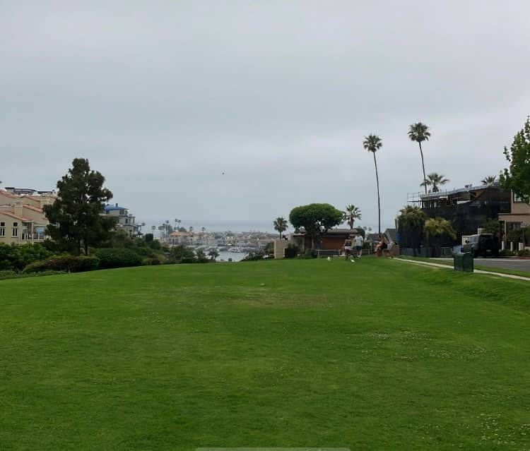 Serene Meadow & Picnic Spots