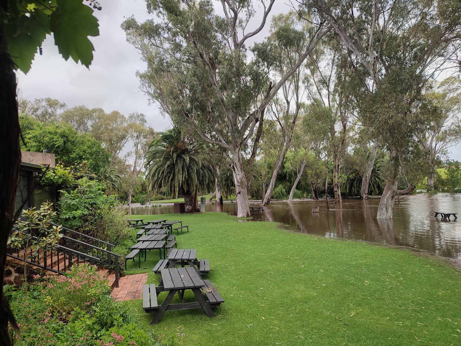 Peter Lehmann Wines - Image 1