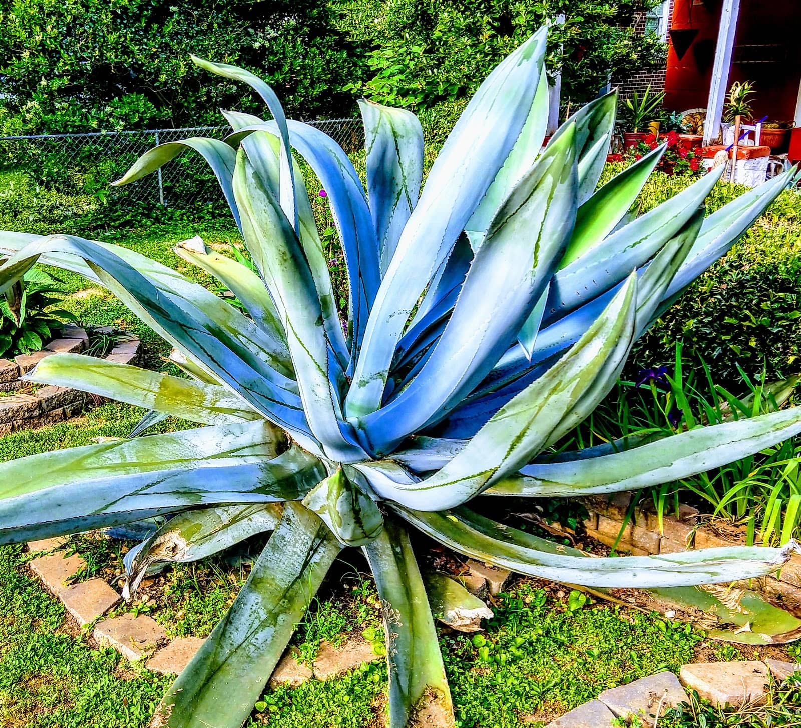 Oakhurst Village Shops & Eateries