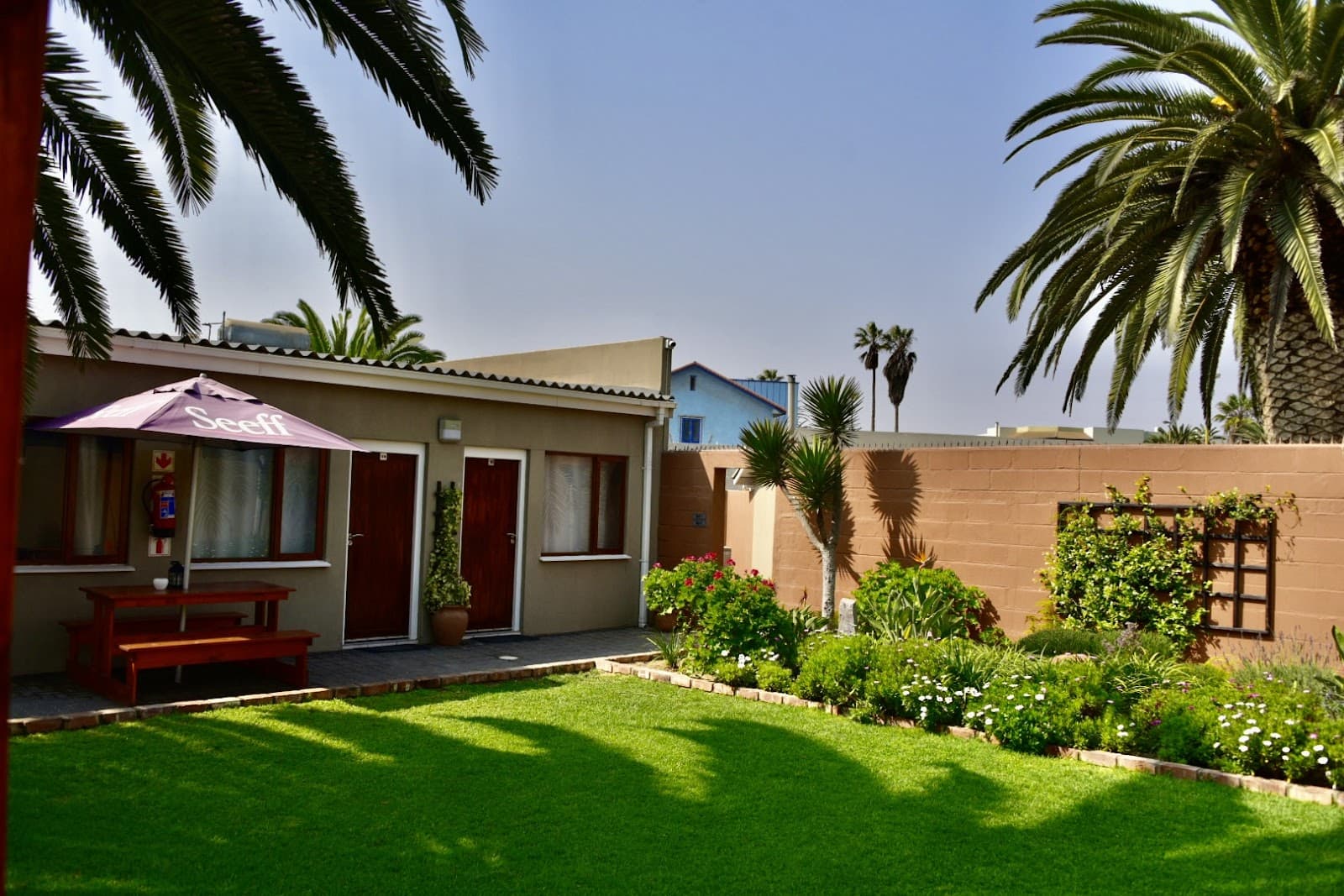 The Mole - Image 1