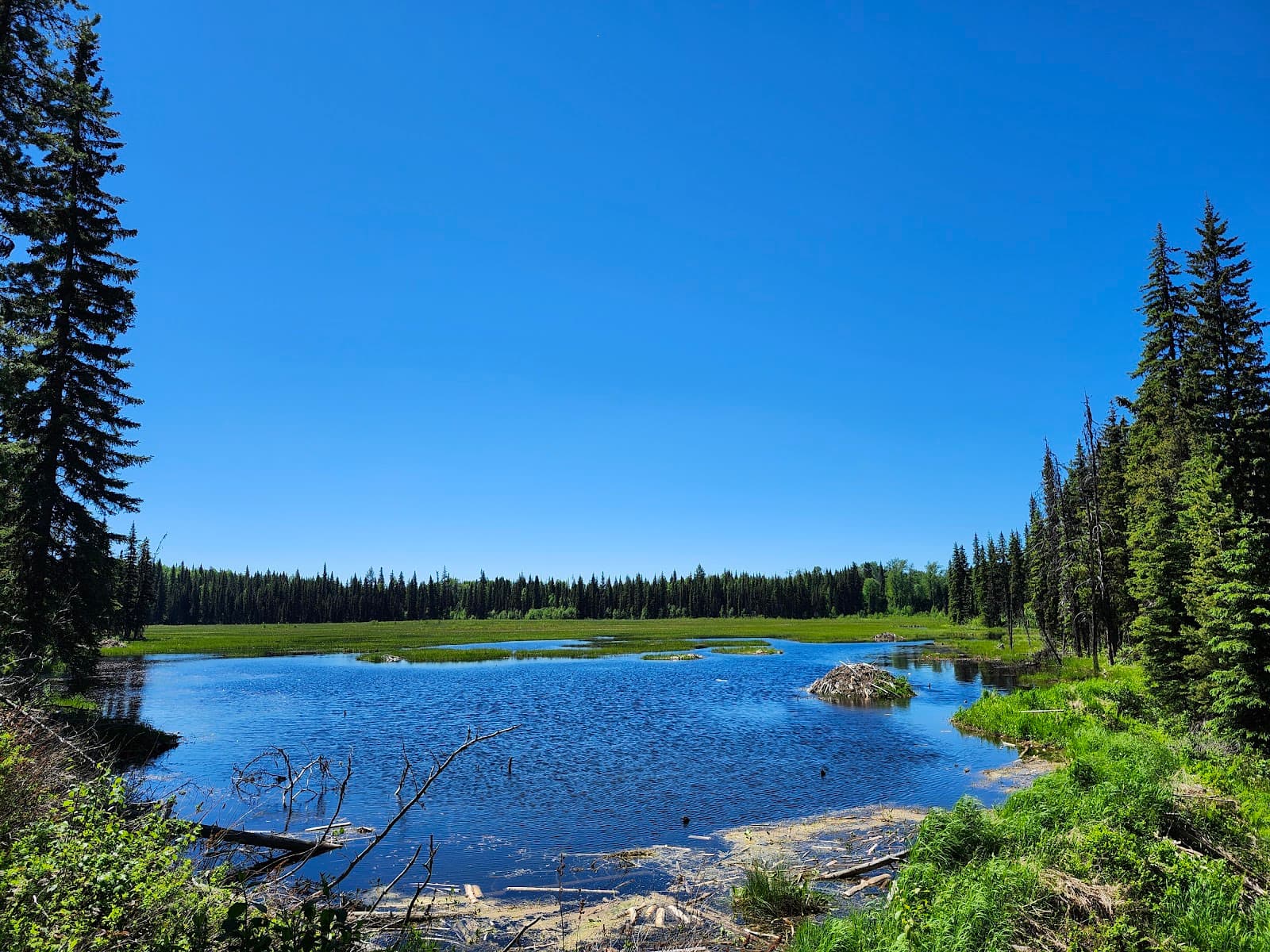 Eskers Provincial Park - Image 1